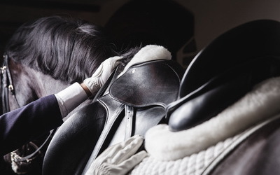 Marktplatz, Kleininserate rund ums Pferd