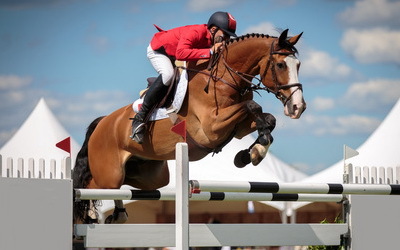 Veranstaltungskalender, Reitkalender